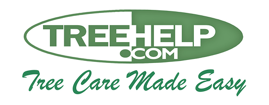 Help Tree Home Why Are My Trees Turning Yellow? Causes, Solutions, and How to Restore ...