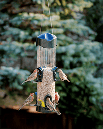 Mega 600 6-Port Tube Bird Feeder – 4 lb Capacity product image