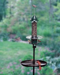 Squirrel Buster Plus Podium Bird Feeder Station Kit product image