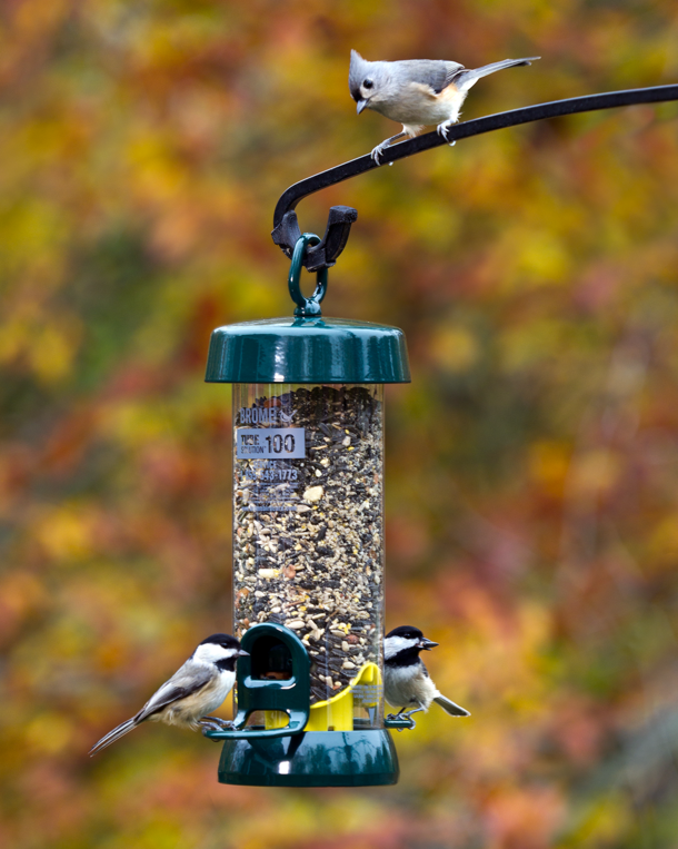 Tube 100 2-Port Bird Feeder with Swivel Hanger product image