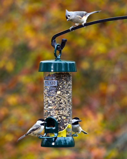 Tube 100 2-Port Bird Feeder with Swivel Hanger product image