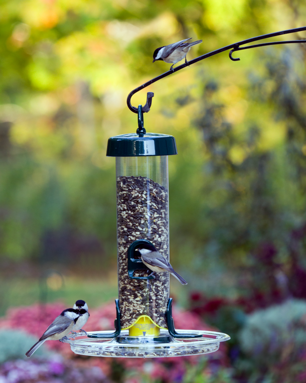 Tube 150 4-Port Bird Feeder with Swivel Hanger additional product image