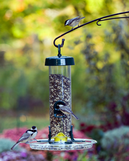 Tube 150 4-Port Bird Feeder with Swivel Hanger additional product image