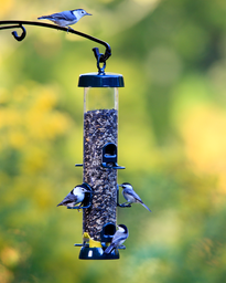 Tube 200 6-Port Bird Feeder with Swivel Hanger product image