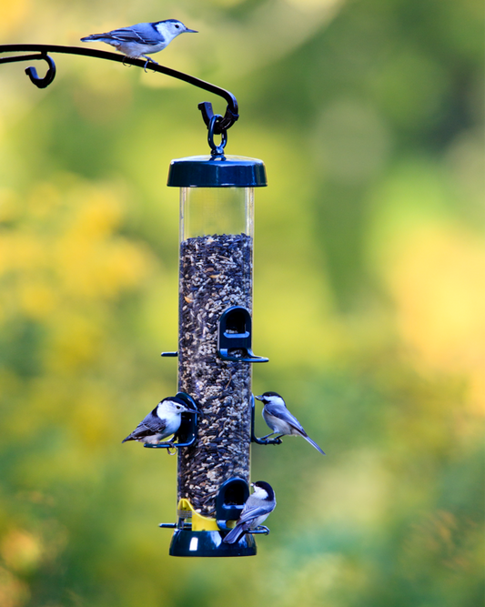 Tube 200 6-Port Bird Feeder with Swivel Hanger product image