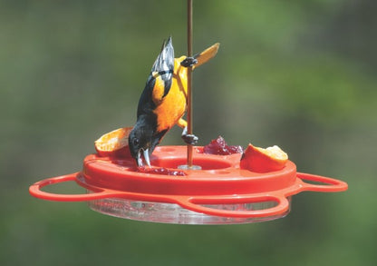 12 Oz. Oriolefest Bird Feeder