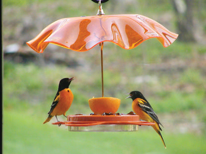 12 Oz. Oriolefest Bird Feeder
