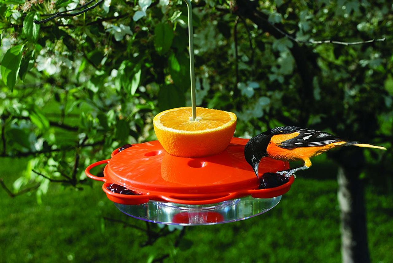 12 oz Plastic Oriole Feeder