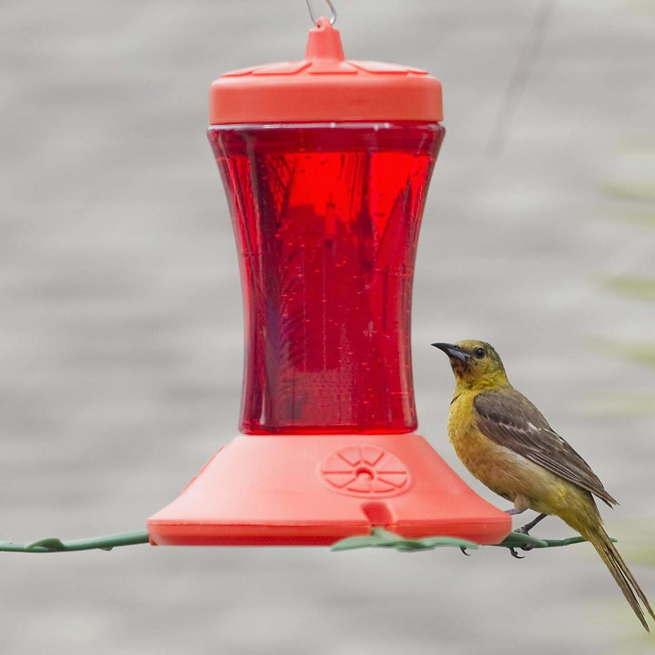 24oz. Oriole Feeder
