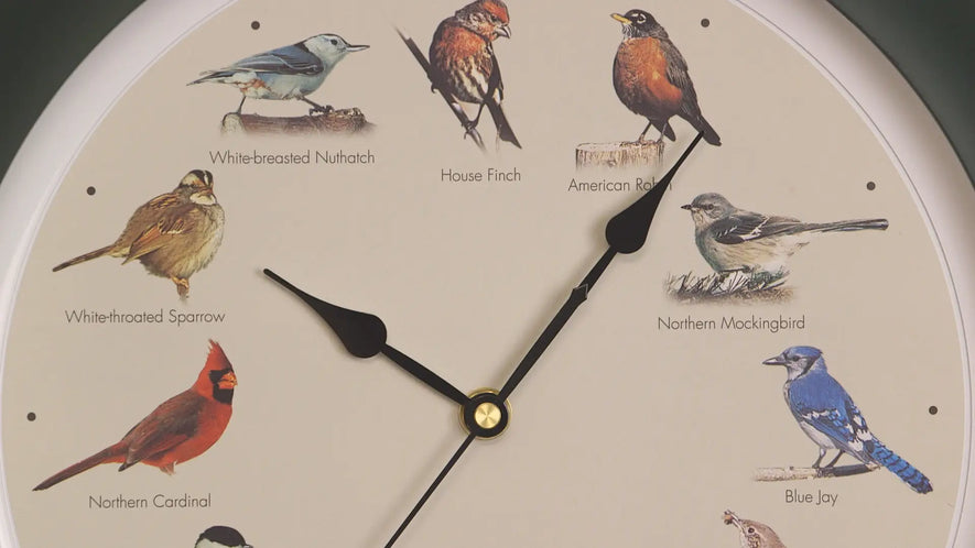 25th Anniversary Original Singing Bird Clock, 13 Inch, Cherry