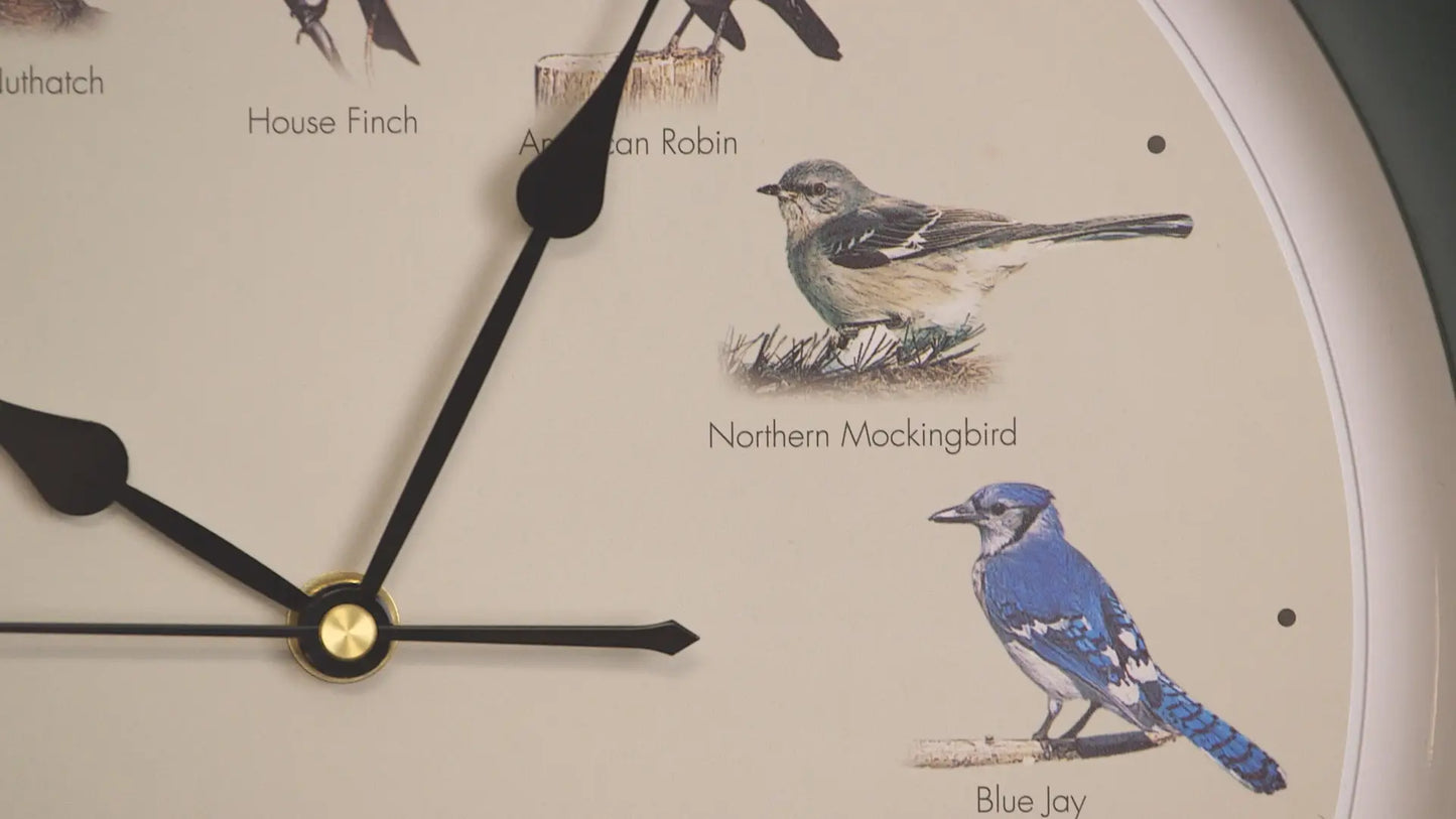 25th Anniversary Original Singing Bird Clock, 13 Inch, Oak