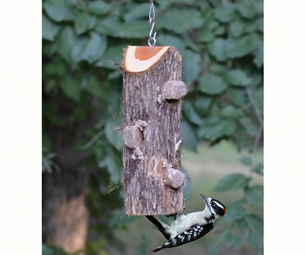 Buy 3 Plug Suet Log Without Perches Online in USA, $18.95 - TreeHelp.com
