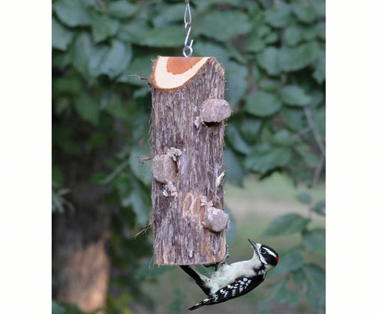 3 Plug Suet Log Without Perches
