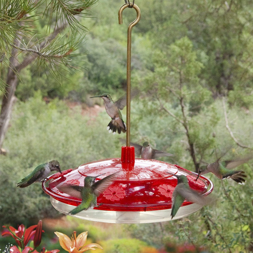 8 Port Hummingbird Feeder Nectar Guard