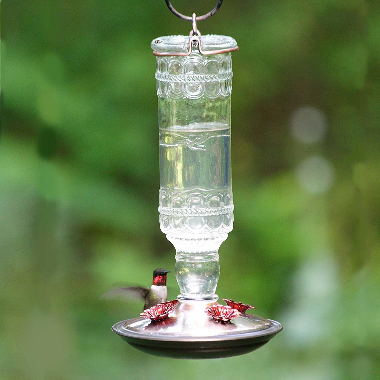 Antique Bottle 10-Ounce Glass Hummingbird Feeder, Clear