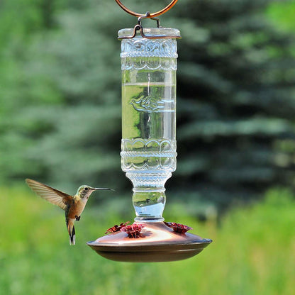 Antique Bottle 10-Ounce Glass Hummingbird Feeder, Clear