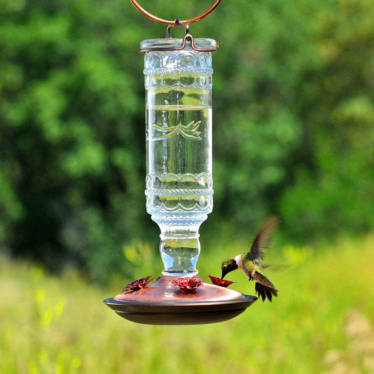 Antique Bottle 10-Ounce Glass Hummingbird Feeder, Clear