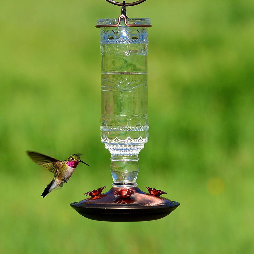 Antique Bottle 10-Ounce Glass Hummingbird Feeder, Clear