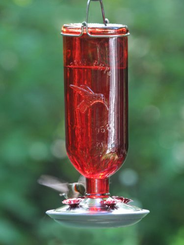 Antique Glass Bottle Hummingbird Feeder-16-Ounce Capacity, Red