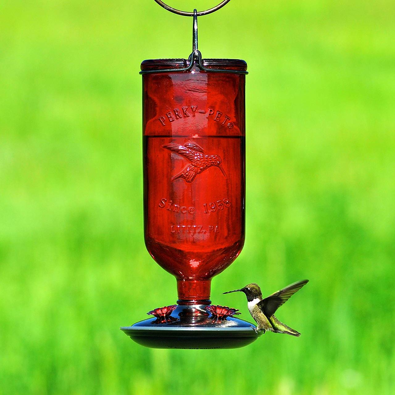 Antique Glass Bottle Hummingbird Feeder-16-Ounce Capacity, Red
