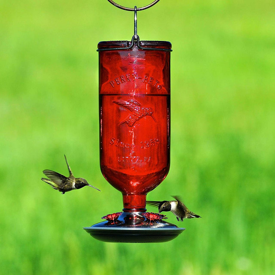 Antique Glass Bottle Hummingbird Feeder-16-Ounce Capacity, Red