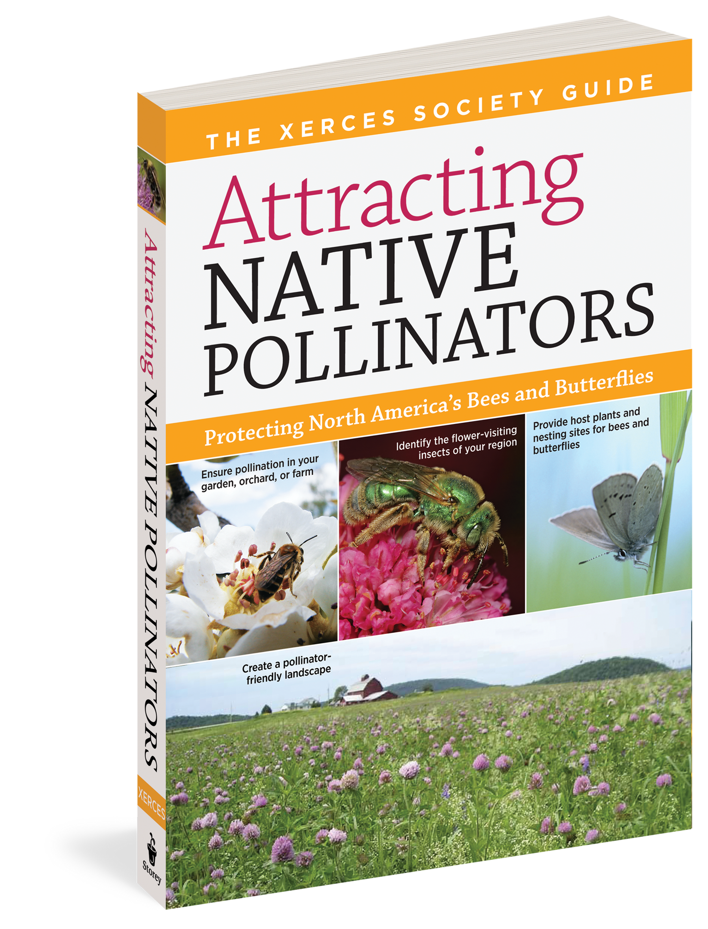 Attracting Native Pollinators