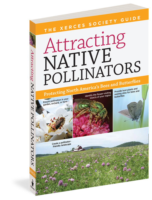 Attracting Native Pollinators