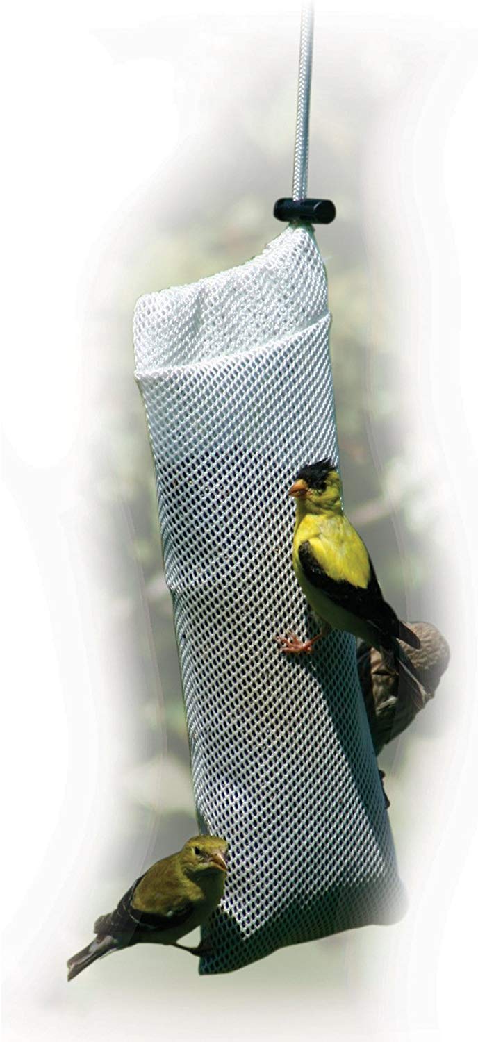 Audubon Thistle Sock