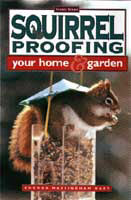 Squirrel Proofing Your Home & Garden