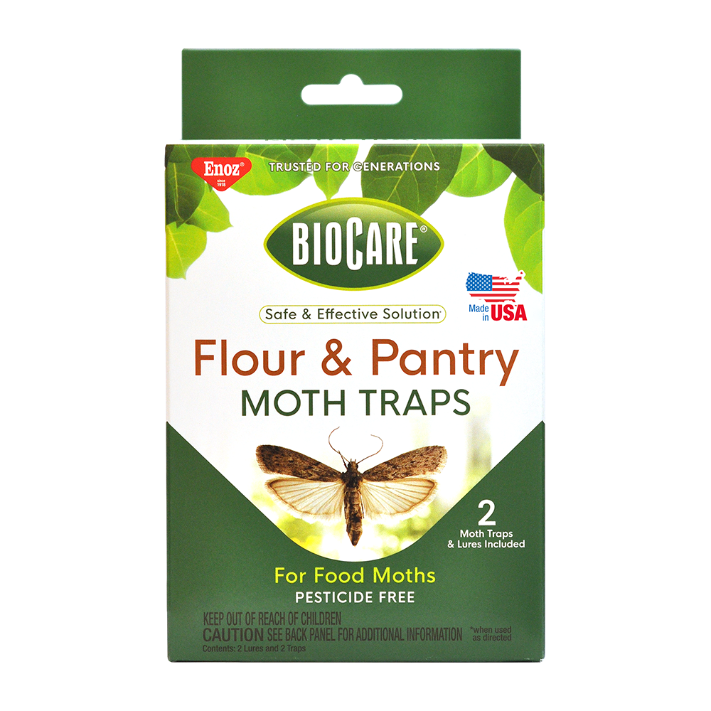 Flour & Pantry Moth Traps