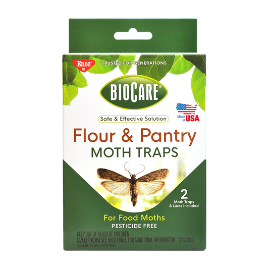Flour & Pantry Moth Traps