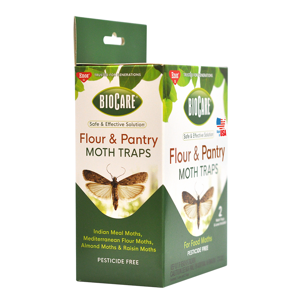 Flour & Pantry Moth Traps