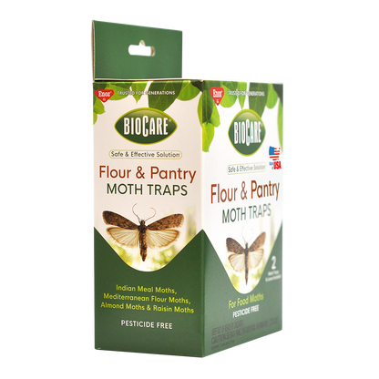 Flour & Pantry Moth Traps