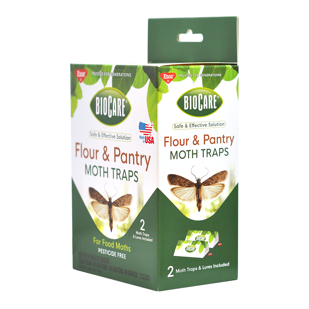Flour & Pantry Moth Traps