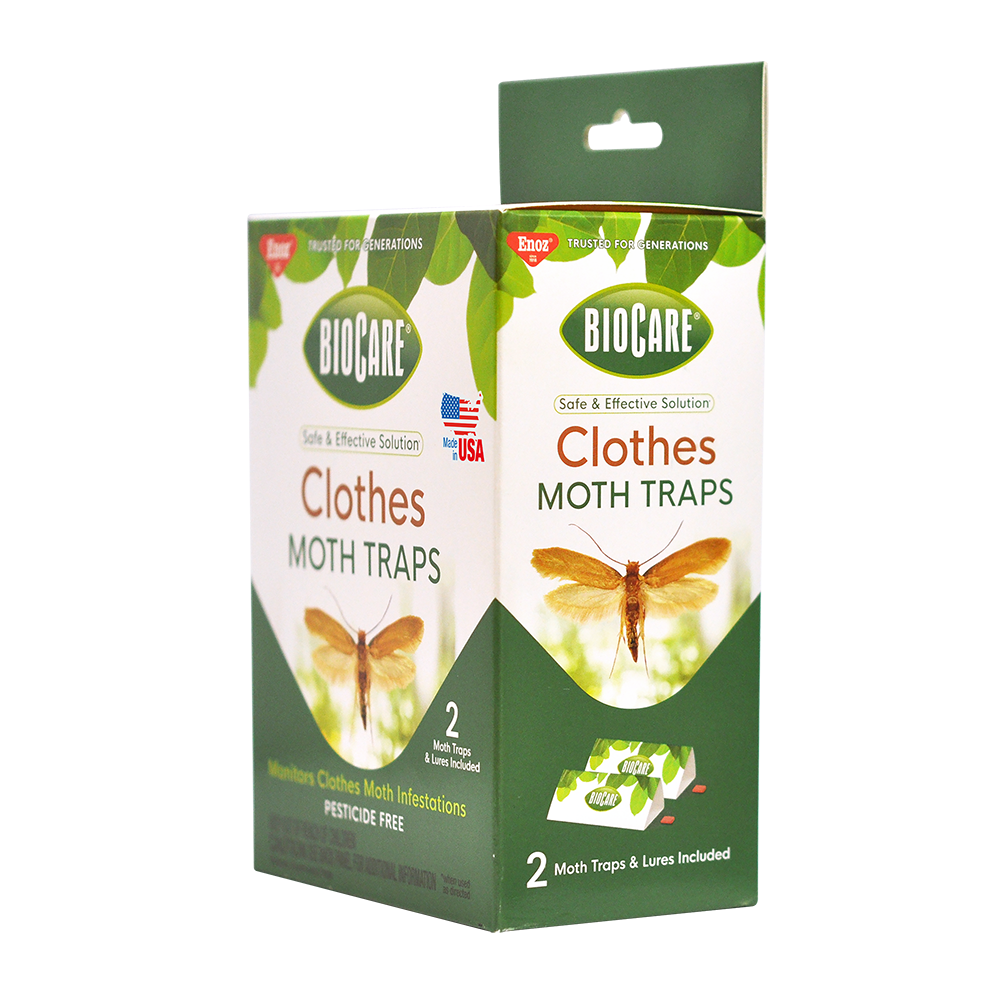Moth Prevention Moth Traps Review: Odorless and Effective