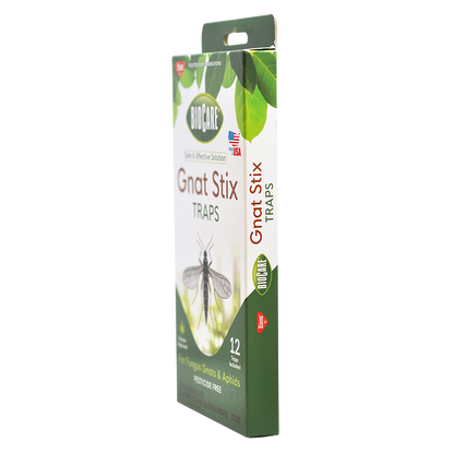 Biocare Gnat Stix Traps
