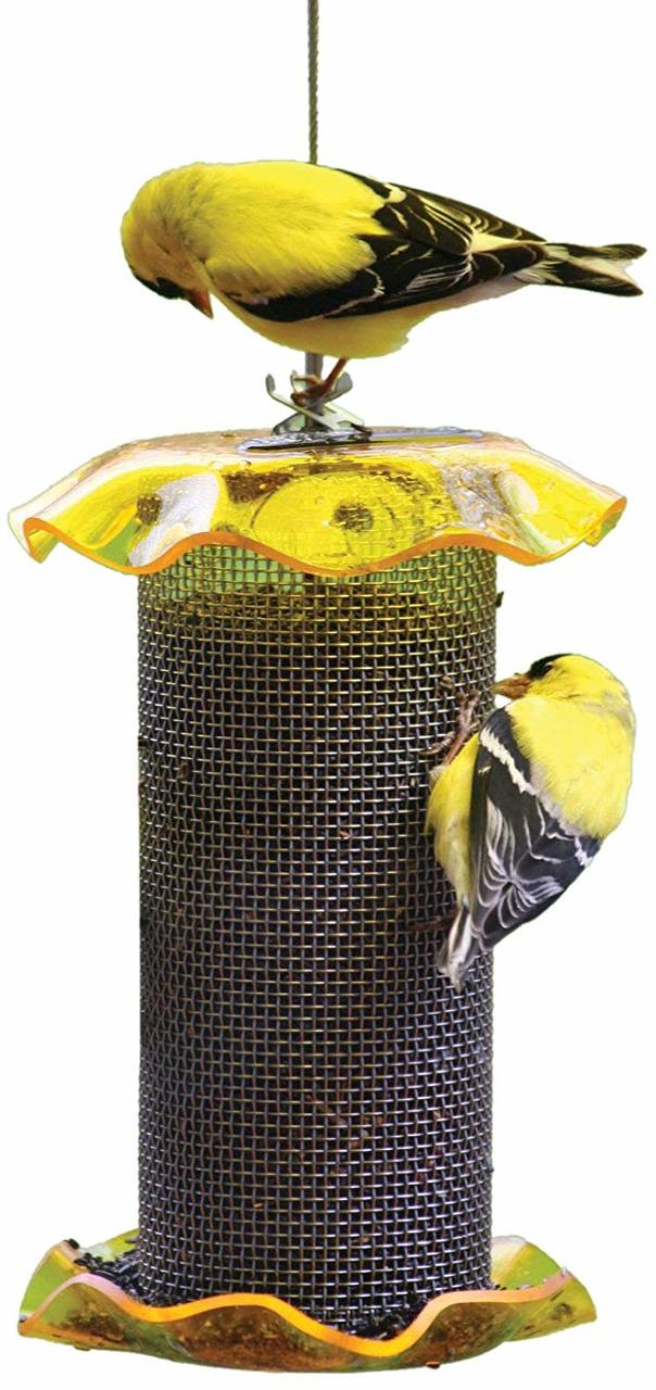 Birds Choice 1 qt. Forever Nyjer Feeder, Yellow