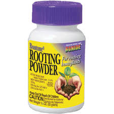 Bontone Rooting Powder, 1.25OZ