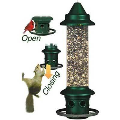 Squirrel Buster Plus Bird Feeder