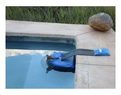 Frog Log Critter Escape Ramp