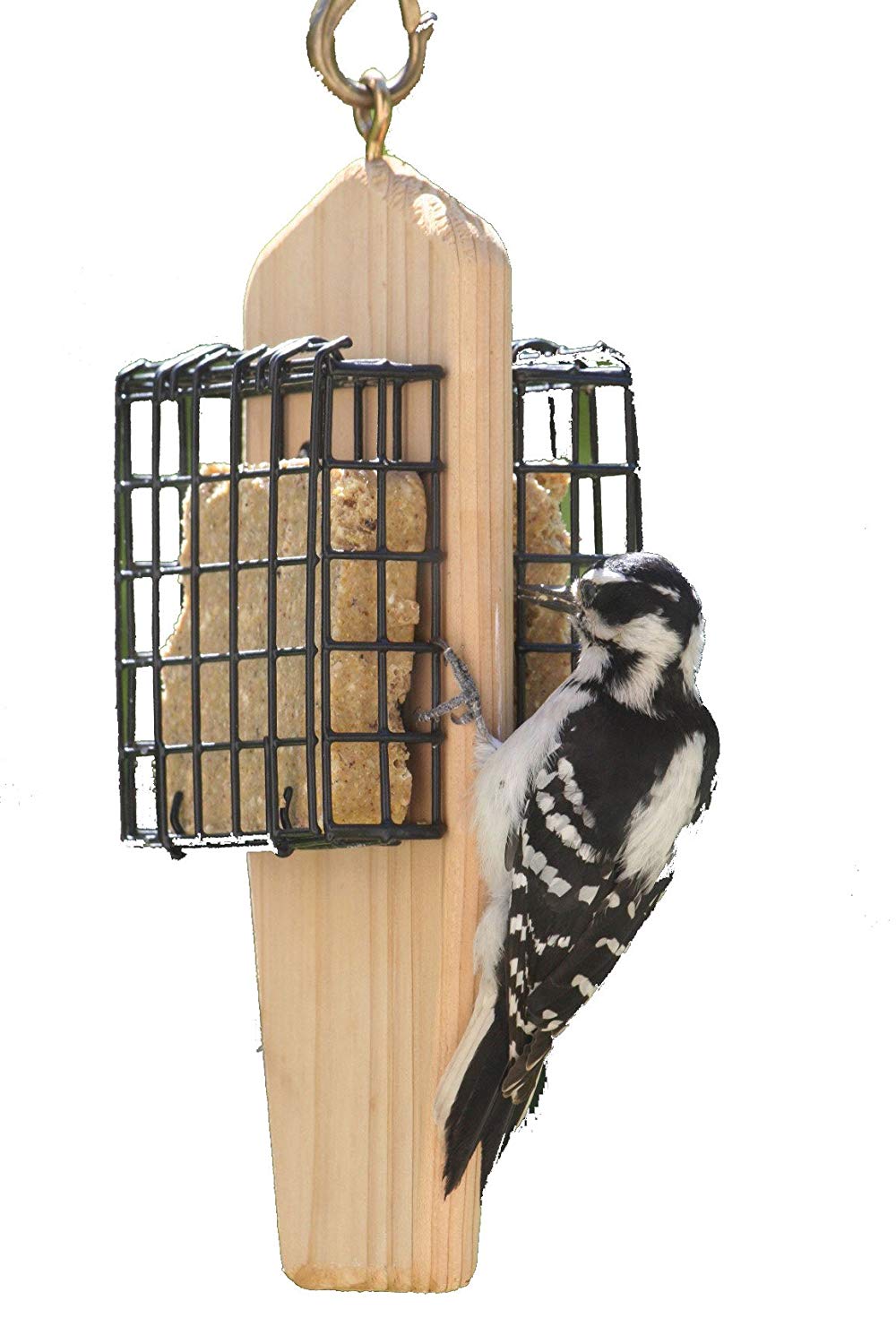 Cedar 2-Cake Hanging Suet Feeder