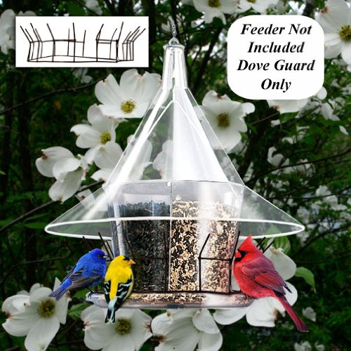 Dove Guard For Sky Cafe Feeder