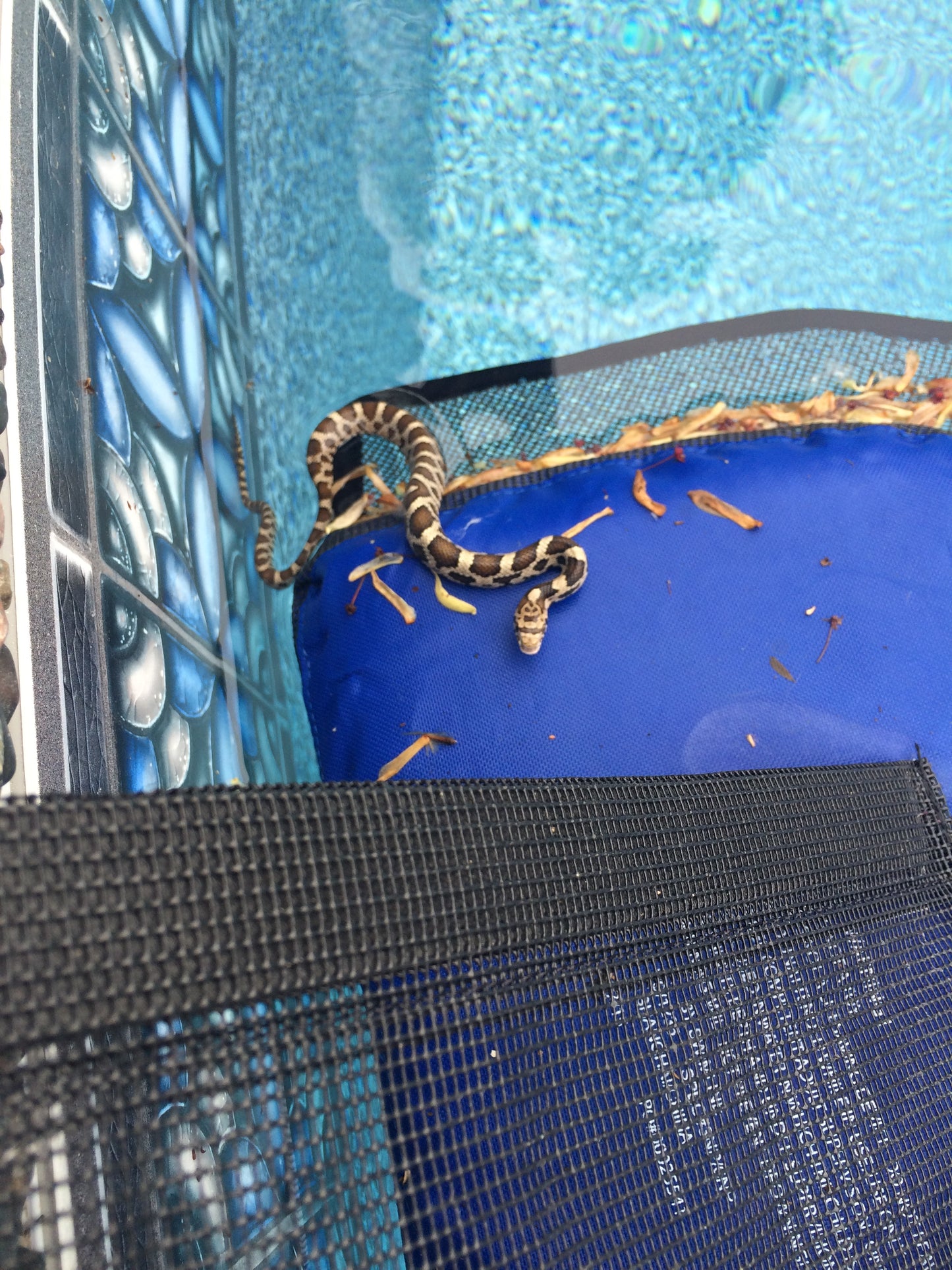 Frog Log Critter Escape Ramp