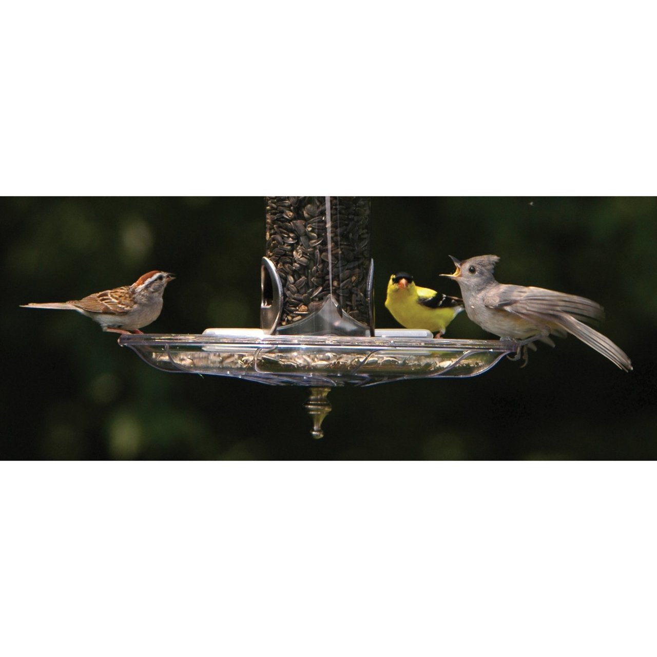 Fancy Swirl Seed Tray