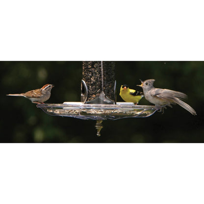 Fancy Swirl Seed Tray