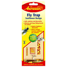 Fly Trap w/ Sunflower Design, 2-PK