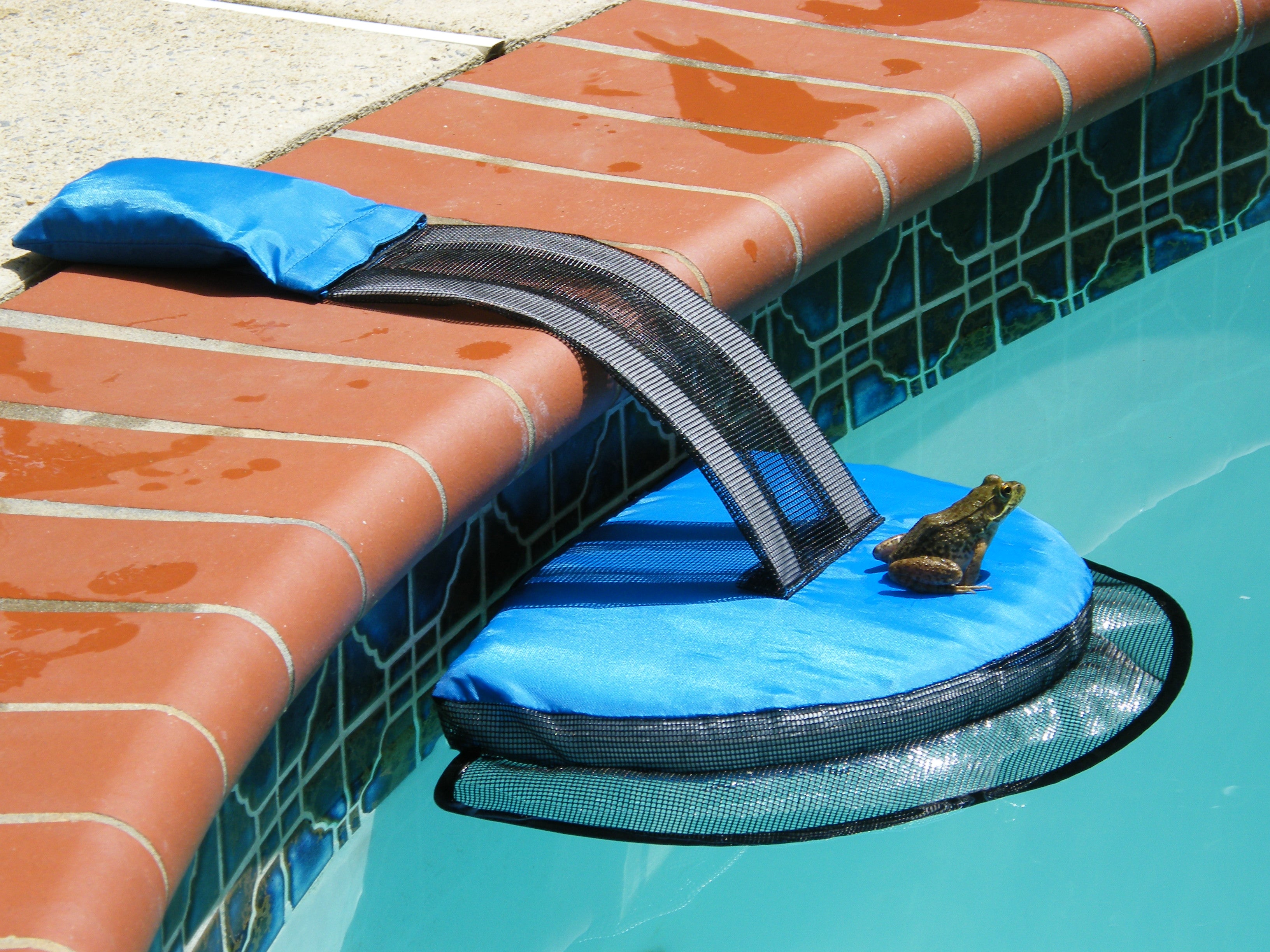 Buy Frog Log Critter Escape Ramp Online in USA, $25.95 - TreeHelp.com
