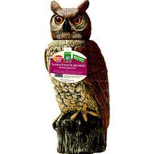 Gardeneer Rotating-Head Owl