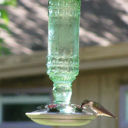 Green Antique Bottle 10-Ounce Glass Hummingbird Feeder