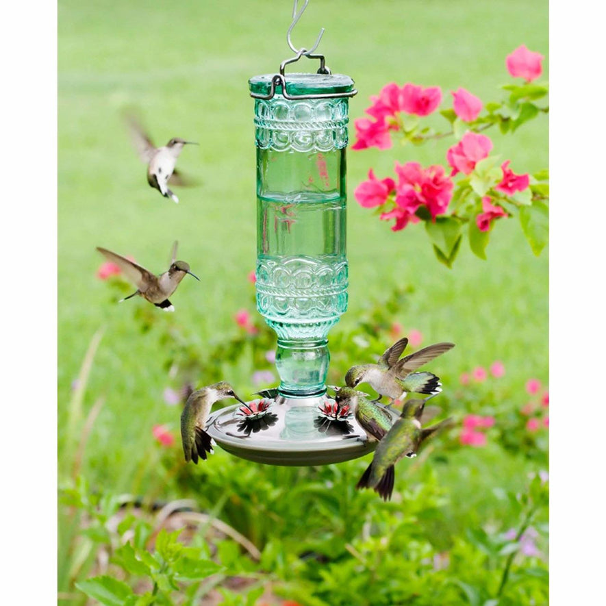 Green Antique Bottle 10-Ounce Glass Hummingbird Feeder